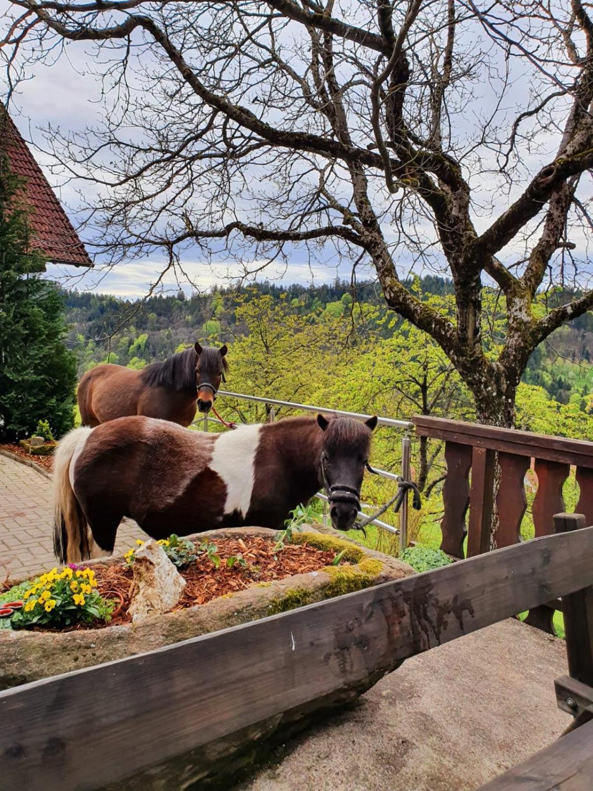 Ferienhof Fischer Зебах Екстер'єр фото